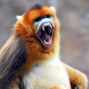 Meet your Posher, Kyler